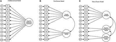 Measuring the Cognitive Attentional Syndrome in Cardiac Patients With Anxiety and Depression Symptoms: Psychometric Properties of the CAS-1R